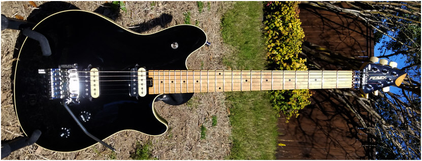 Peavey Wolfgang Identification